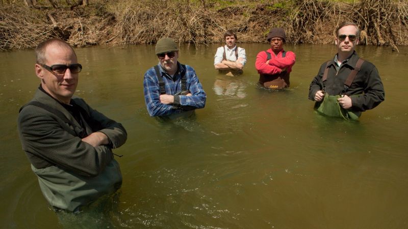 Datei:Tortoise background.jpg