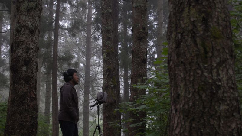 Datei:Yosi Horikawa background.jpg